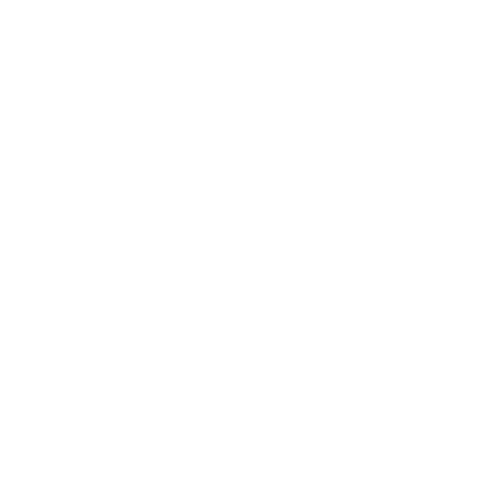 Libertadores