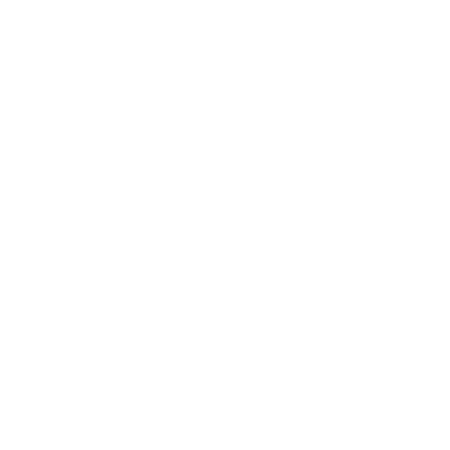 sudamericana sudamericana